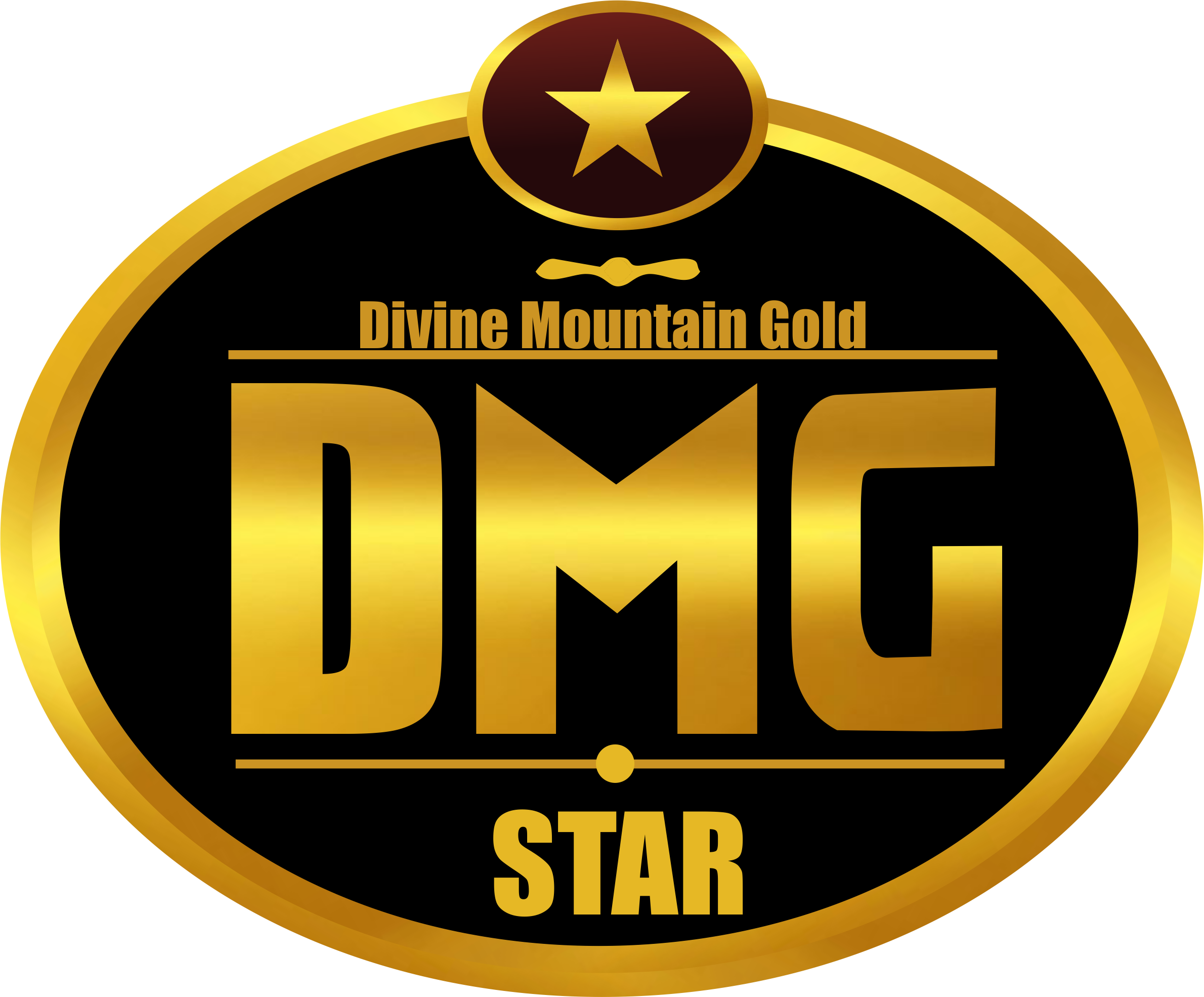 DMG STAR GROUP Logo